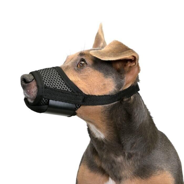 Valkyrie L Beden Köpek Ağızlığı Fileli Nefes Alabilen Ayarlanabilir Cırtlı Güvenli Köpek Ağızlığı