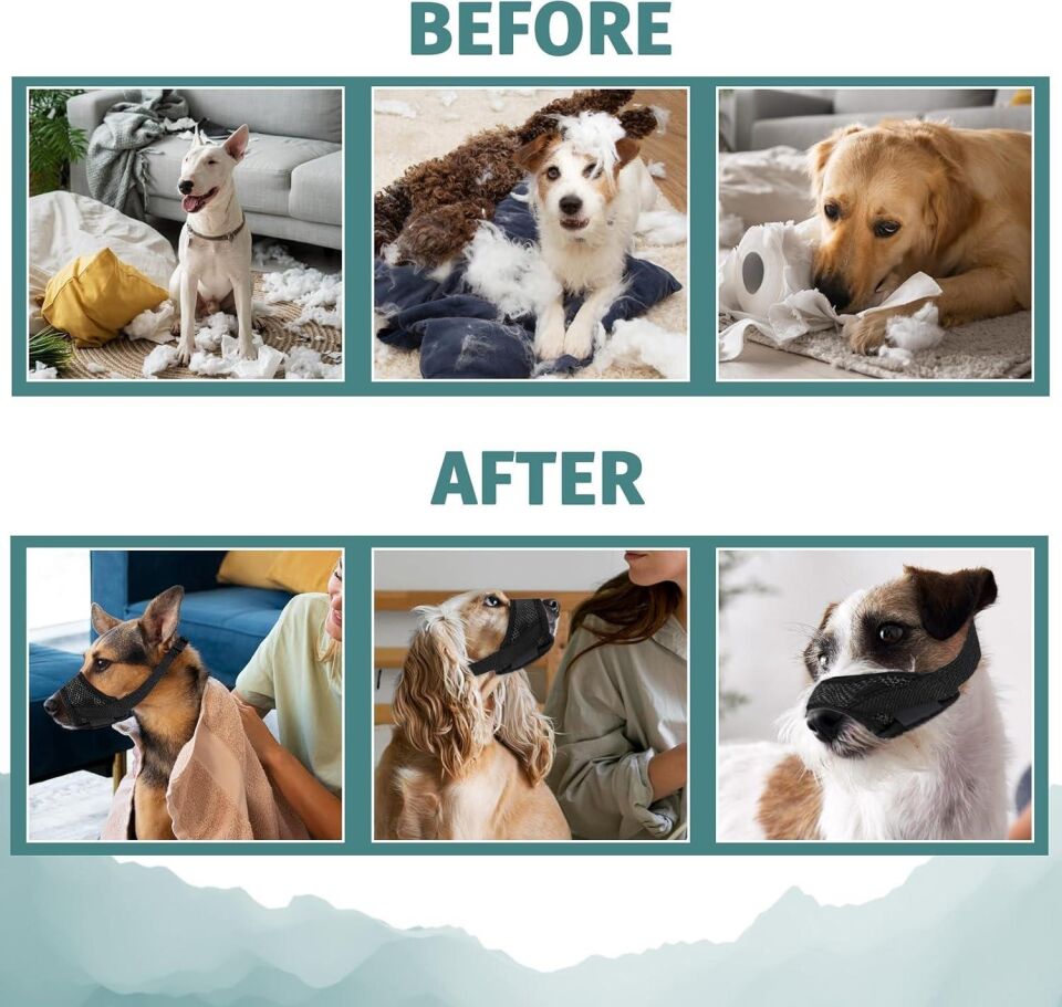 Valkyrie L Beden Köpek Ağızlığı Fileli Nefes Alabilen Ayarlanabilir Cırtlı Güvenli Köpek Ağızlığı