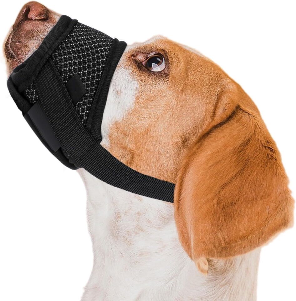 Valkyrie M Beden Köpek Ağızlığı Fileli Nefes Alabilen Ayarlanabilir Cırtlı Güvenli Köpek Ağızlığı