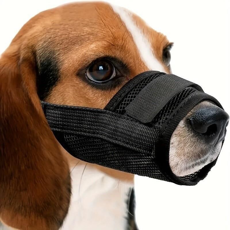 Valkyrie Köpek Ağızlığı XL Beden Nefes Alabilir Fileli Ayarlanabilir Isırma Önleyici Yumuşak Siyah
