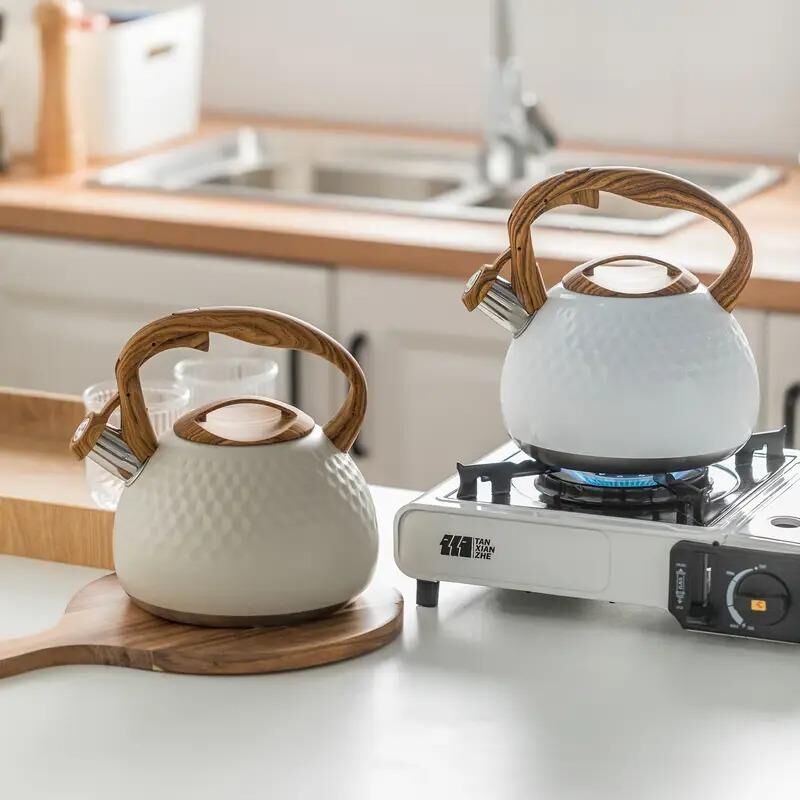 Valkyrie Modern Tasarım Düdüklü Kettle 3L Paslanmaz Çelik Ergonomik Su Isıtıcı Çaydanlık Islıklı