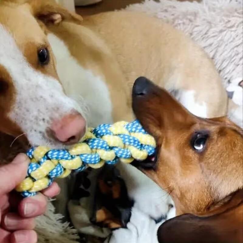 Valkyrie 7 Parça Köpek Halat Oyuncak Seti Isırma Çekiştirme Eğitim Toplu İp Oyuncağı