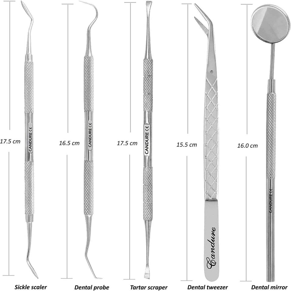 Valkyrie 5 Parça Çantalı Paslanmaz Çelik Diş Tartar Sökücü Diş Temizleme Kiti Tartar Kireç Temizleyici Seti