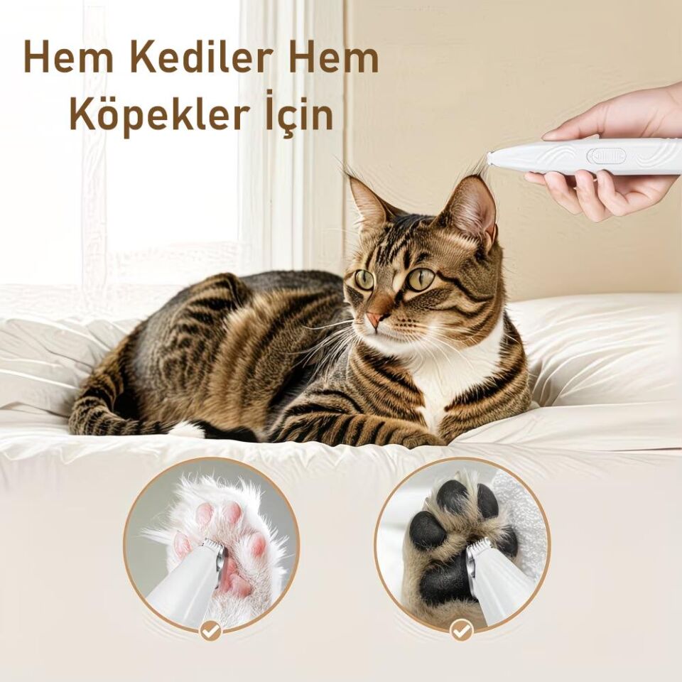 Valkyrie Kedi Köpek Pati Tüy Kesme Makinesi Sessiz Hassas Bölge Traş Cihazı Seramik & Çelik Bıçaklı