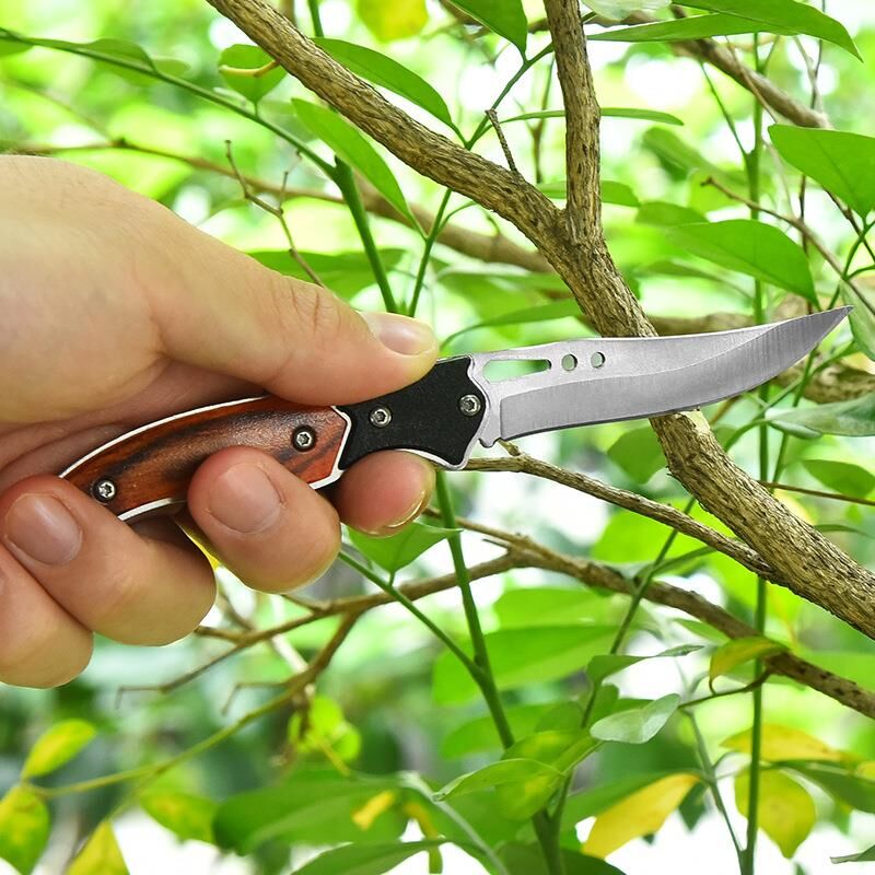 Valkyrie Paslanmaz Çelik Mini Katlanır Bıçak – Kavisli Keskin Bıçak, Plastik Tutma, Anahtarlık Halkalı