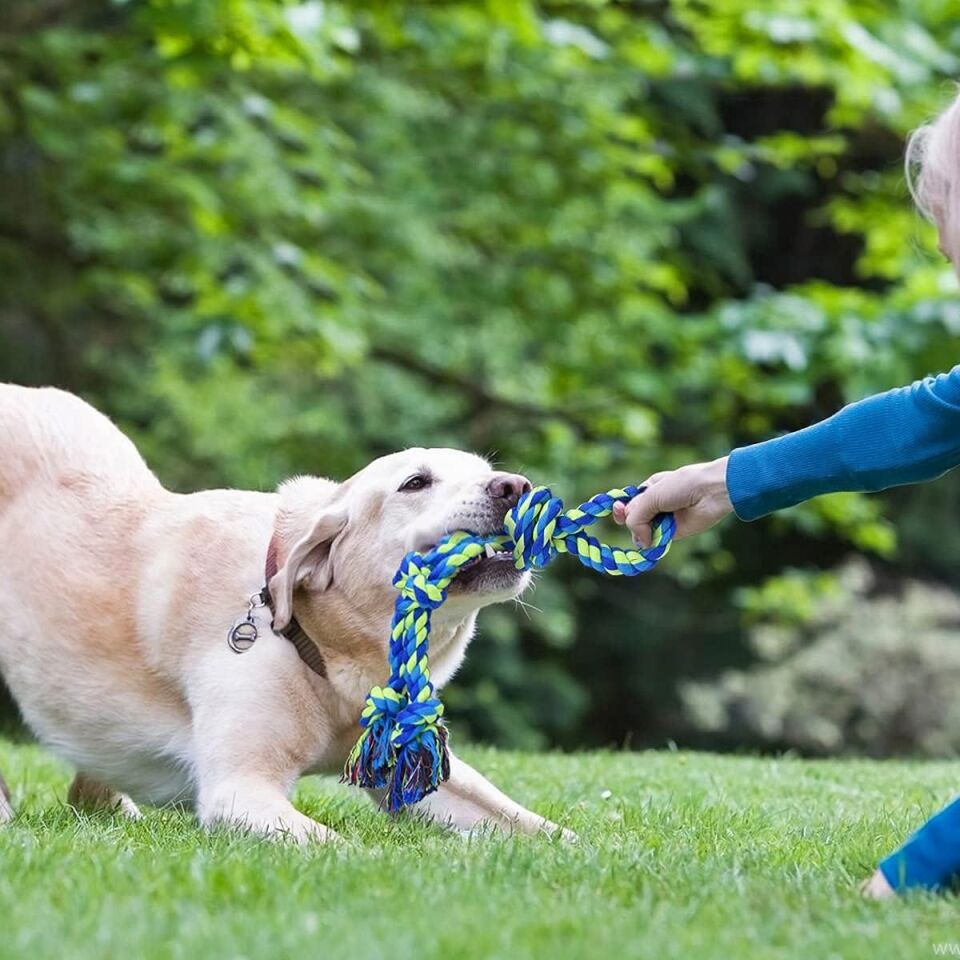 Valkyrie 2’li Büyük Boy Köpek Halat Oyuncağı Seti Isırma Çekiştirme Diş Kaşıma Eğitim İpi