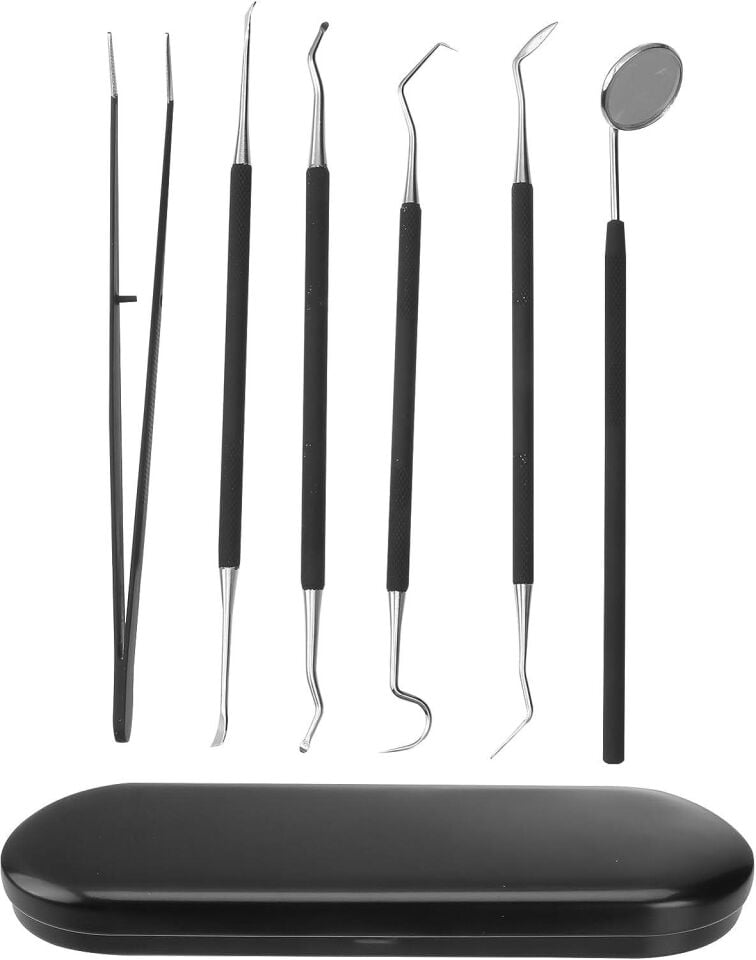 Valkyrie 6 Parça Paslanmaz Çelik Metal Kutulu  Diş Tartar Temizleme Dental Ağız Bakım Seti siyah kutu
