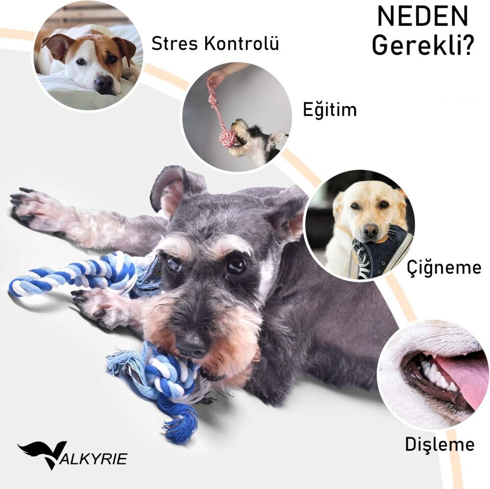 Valkyrie 4’lü Köpek Diş İpi Oyuncağı Seti Isırma Çekiştirme Eğitim Toplu Halat Oyuncak