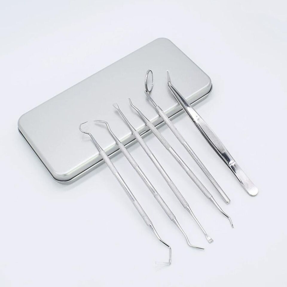 Valkyrie 6 adet Metal Kutulu Paslanmaz Çelik Diş Tartar Dil Temizleme Dental Ağız Bakım Seti