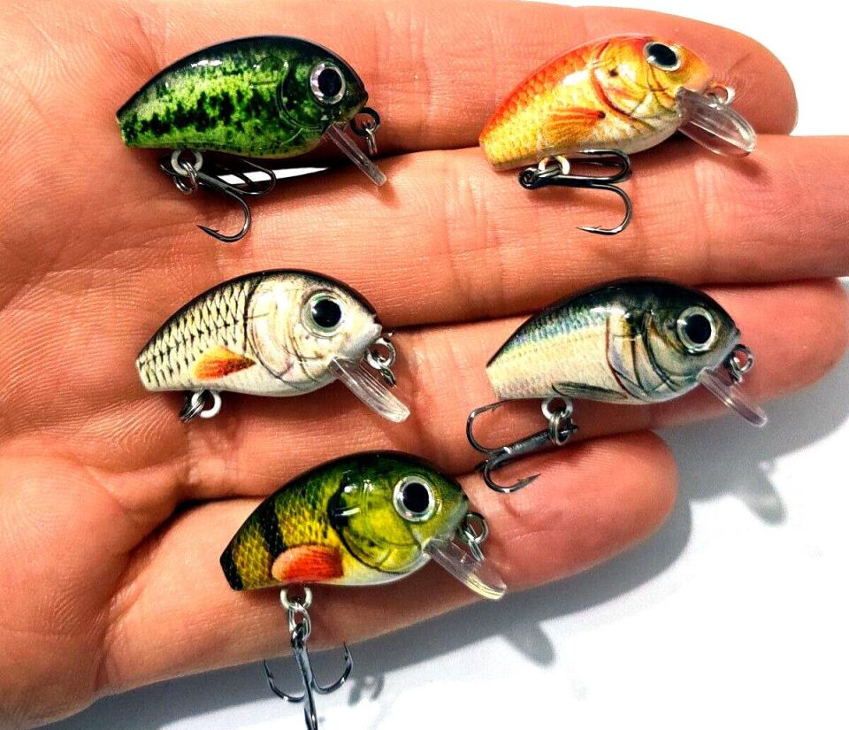 Valkyrie 5 Adet Crankbait LRF Balık Olta Yem Seti - Sesli bilyalı - Kutulu - 2.7cm 1.5gr