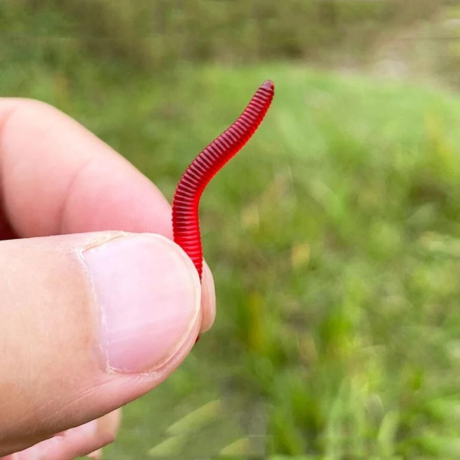 Valkyrie 100 Adet Kokulu 3,5cm Yapay Silikon Solucan Balık Yemi - Gerçekçi Görünüm - Parfümlü  - 100 parça yem