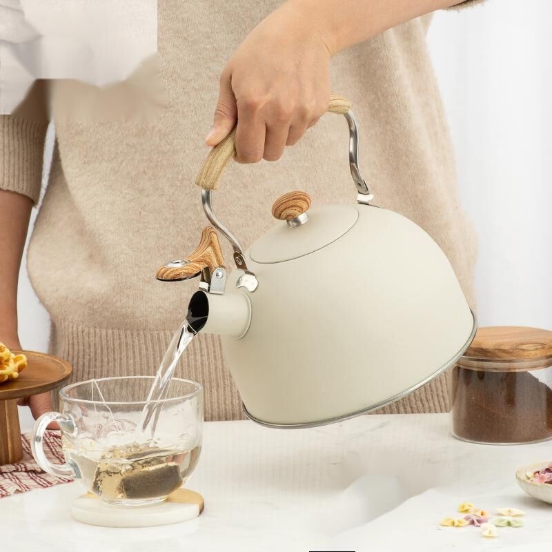 Valkyrie 2.5L Paslanmaz Çelik Düdüklü Su Isıtıcısı Demlik Islıklı Kettle