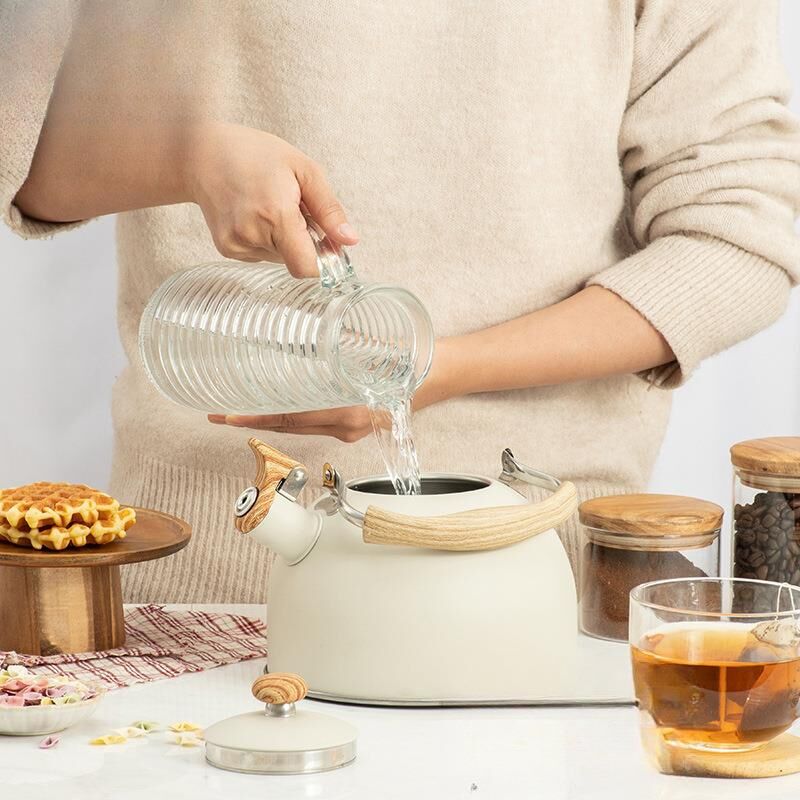 Valkyrie 2.5L Paslanmaz Çelik Düdüklü Su Isıtıcısı Demlik Islıklı Kettle